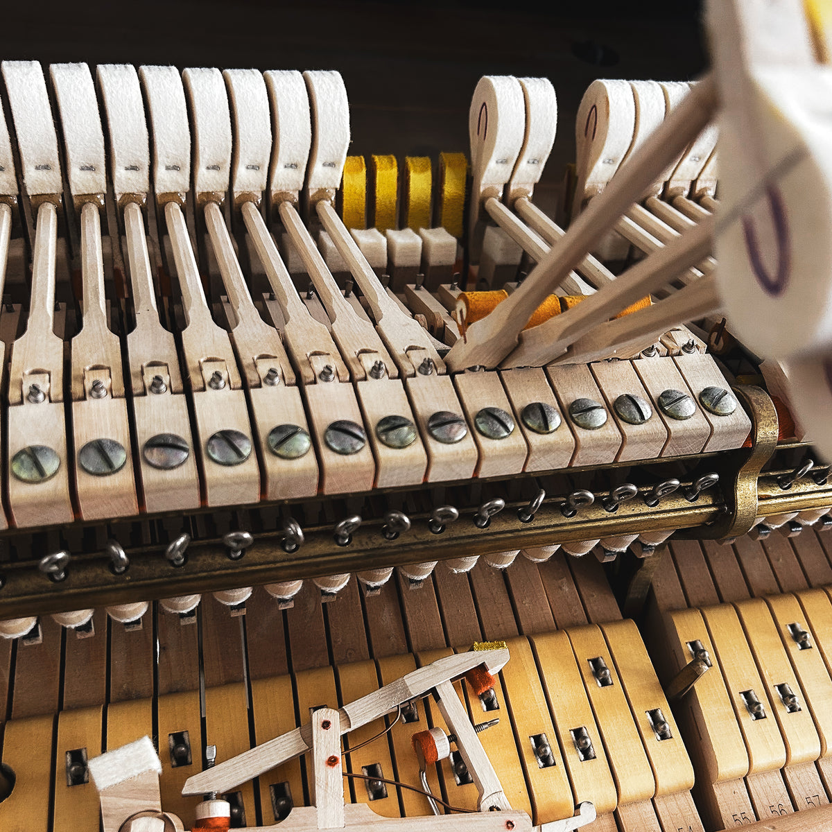 Réparation de la mécanique et de la structure harmonique d’un piano acoustique réalisée par Accord & Co en Haute-Savoie