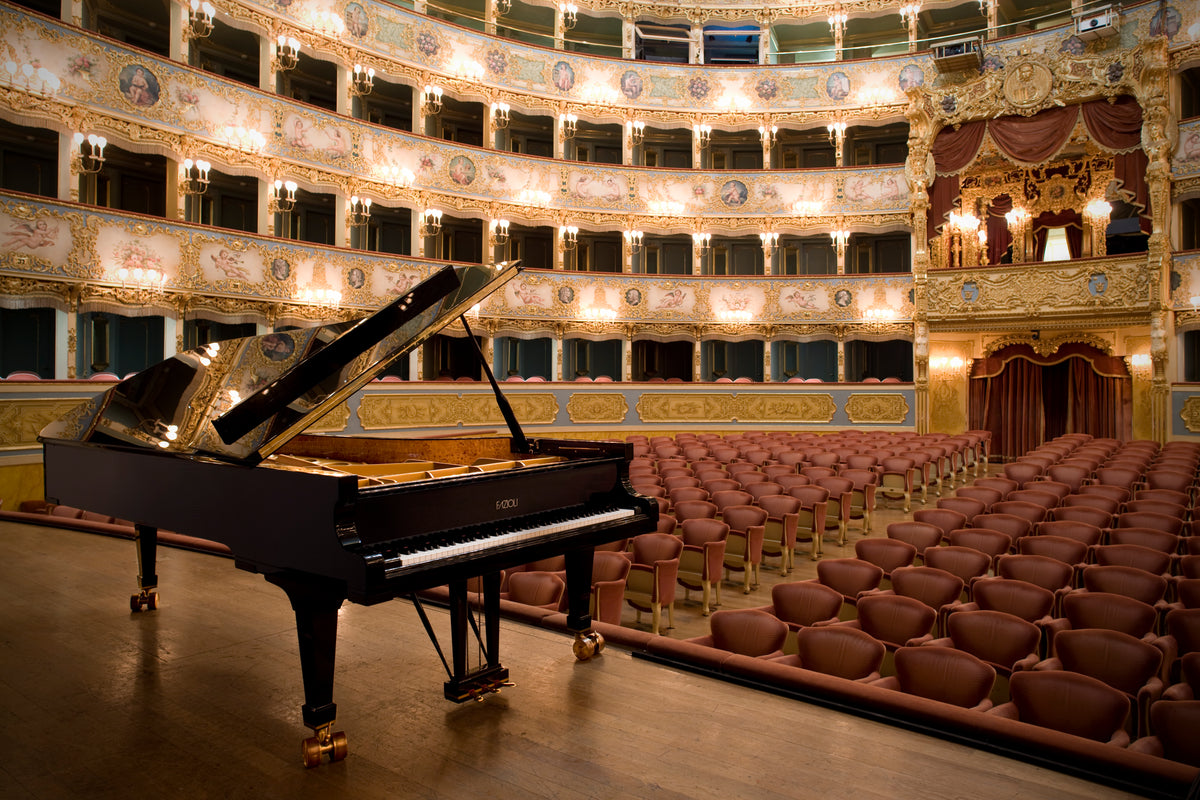 Accord & Co, prestataire agréé FAZIOLI à Annecy, spécialiste des pianos à queue de prestige et de concert, entretien, préparation et expertise de pianos haut de gamme en Rhône-Alpes et Suisse romande.