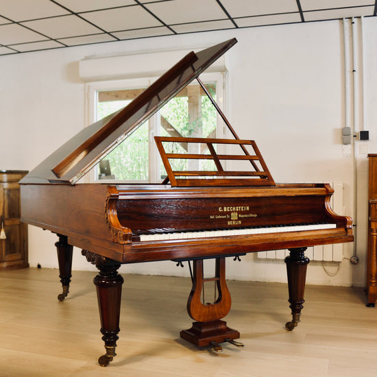 Cordes parallèles du piano à queue ancien C. Bechstein de 1866