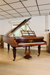 Cordes parallèles du piano à queue ancien C. Bechstein de 1866