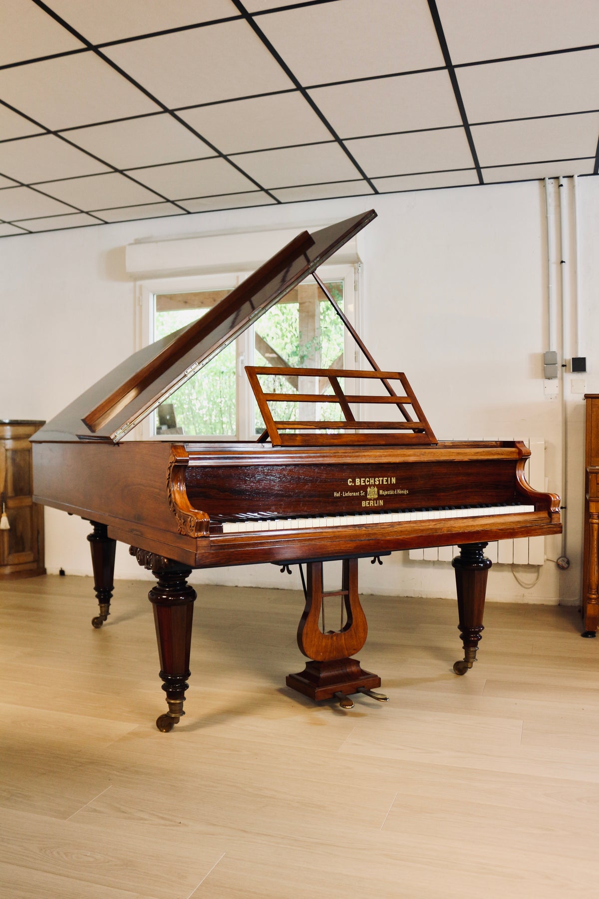 Cordes parallèles du piano à queue ancien C. Bechstein de 1866
