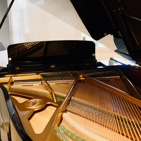 C. Bechstein 190 piano à queue haut de gamme d'occasion