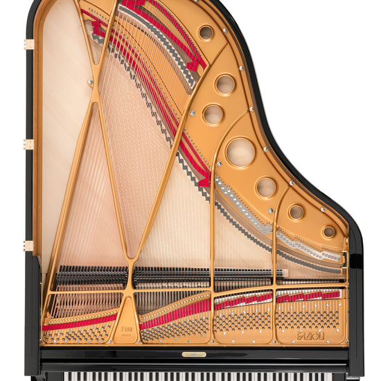 Table d’harmonie et cordes du Fazioli F198, piano à queue neuf à vendre chez Accord & Co en Rhône-Alpes et Suisse romande