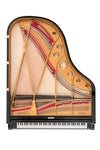 Table d’harmonie et cordes du Fazioli F198, piano à queue neuf à vendre chez Accord & Co en Rhône-Alpes et Suisse romande