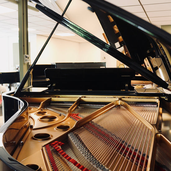 Intérieur et cordes du Fazioli F212, piano à queue d’occasion vendu par Accord & Co