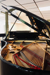 Intérieur et cordes du Fazioli F212, piano à queue d’occasion vendu par Accord & Co