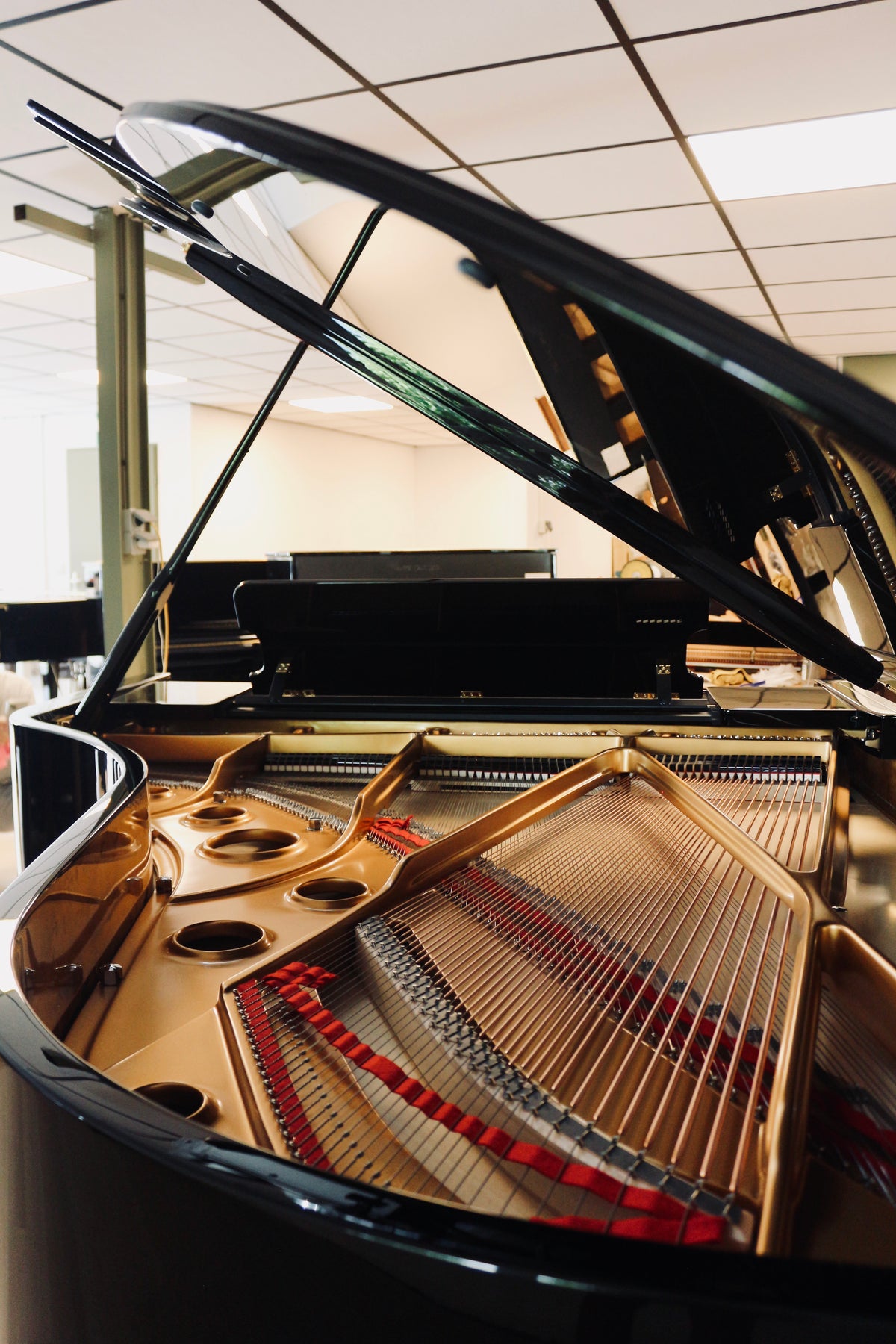 Intérieur et cordes du Fazioli F212, piano à queue d’occasion vendu par Accord & Co