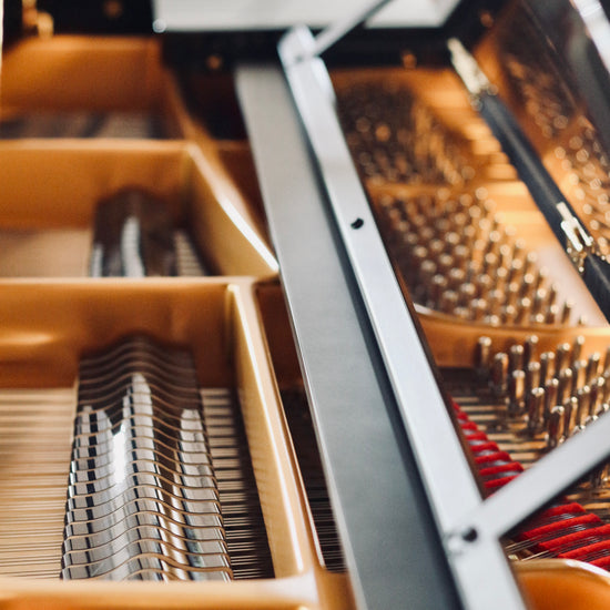 Mécanique intérieure du Fazioli F212, piano à queue d’occasion disponible en Rhône-Alpes