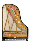 Table d’harmonie et cordes du Fazioli F212 neuf, piano à queue à vendre chez Accord & Co en Rhône-Alpes et Suisse romande