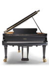 Vue de face du Fazioli F228 neuf, piano à queue de 228 cm proposé à la vente par Accord & Co