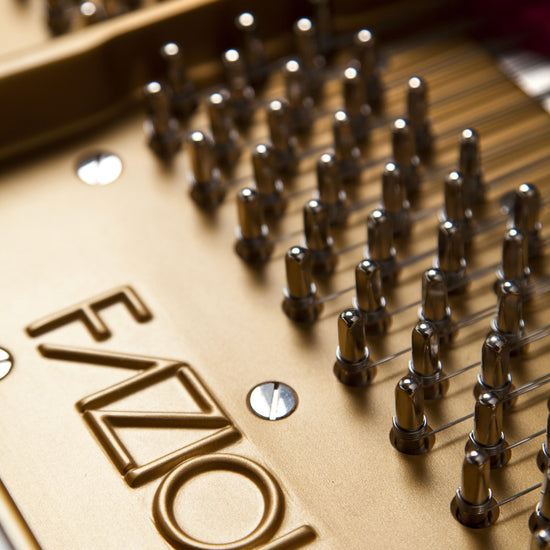 Détail des chevilles et du logo Fazioli sur le F278, piano à queue de concert neuf proposé par Accord & Co