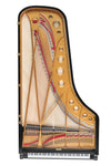 Table d’harmonie et cordes du Fazioli F308 neuf, piano à queue de concert à vendre chez Accord & Co en Rhône-Alpes et Suisse romande