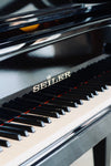 Clavier du piano à queue Seiler 206 d’occasion à vendre chez Accord & Co