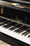 Clavier du piano à queue Steingraeber & Söhne A-170 d’occasion disponible chez Accord & Co