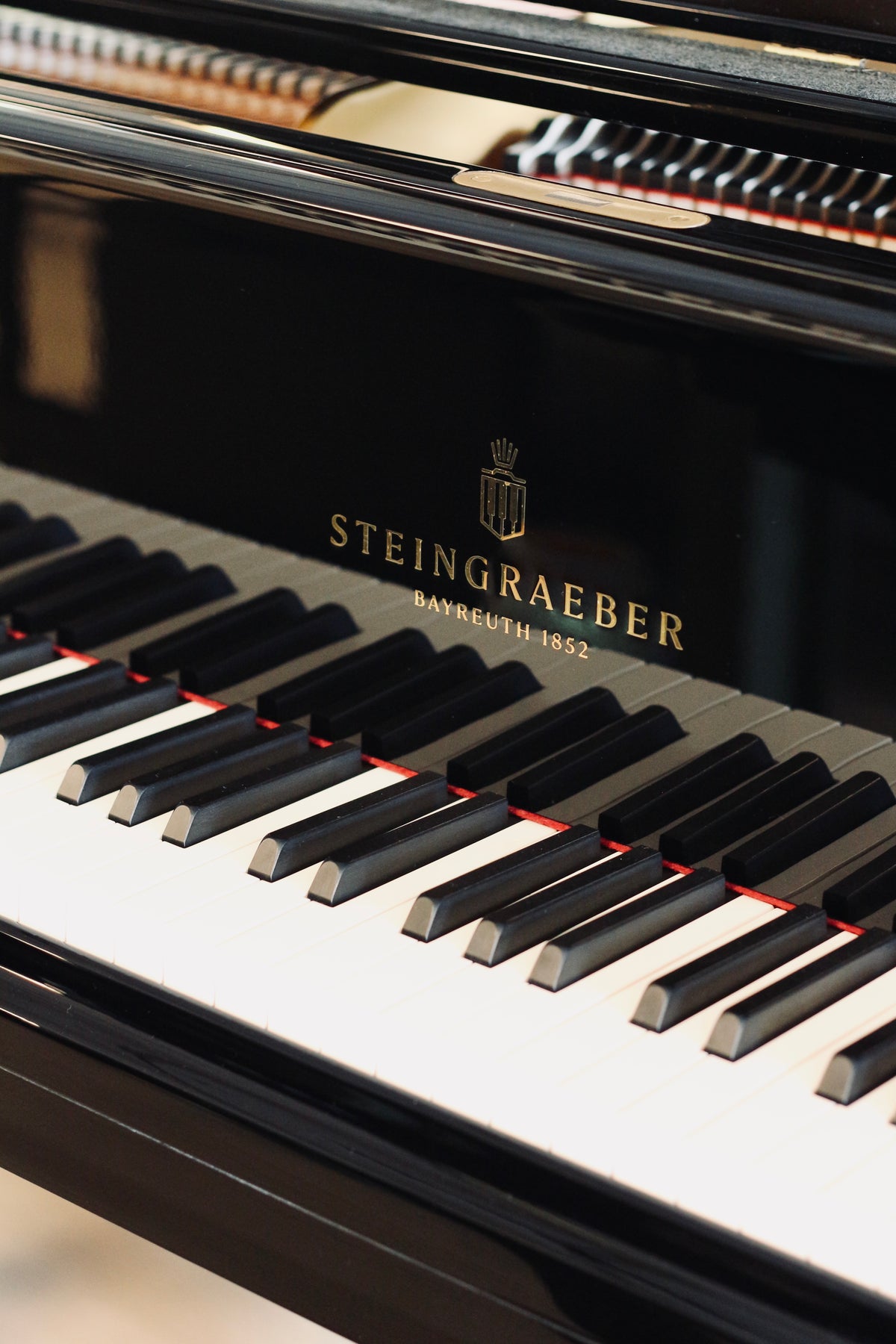 Clavier du piano à queue Steingraeber & Söhne A-170 d’occasion disponible chez Accord & Co