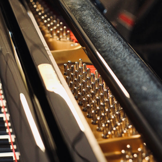 Cordes du piano à queue Steingraeber & Söhne A-170 d’occasion proposé par Accord & Co