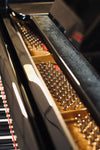 Cordes du piano à queue Steingraeber & Söhne A-170 d’occasion proposé par Accord & Co