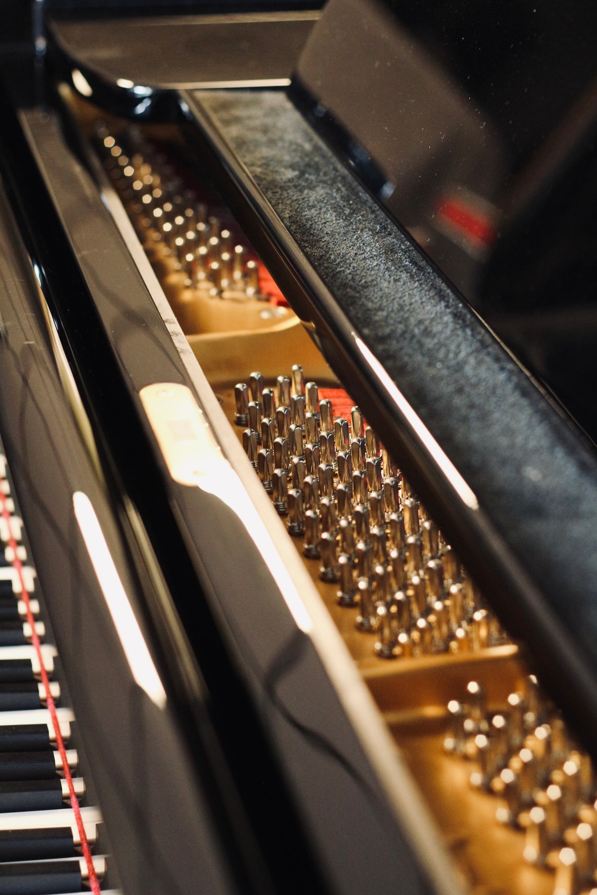 Cordes du piano à queue Steingraeber & Söhne A-170 d’occasion proposé par Accord & Co