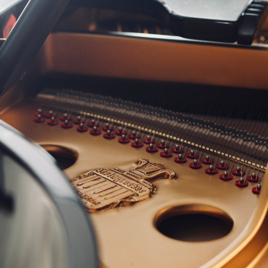 Détail intérieur du piano Steingraeber & Söhne A-170 d’occasion à vendre chez Accord & Co