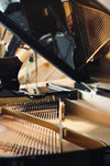 Table d’harmonie du Steingraeber & Söhne A-170 d’occasion disponible chez Accord & Co en Rhône-Alpes