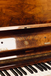 Clavier du piano droit Steinway & Sons Modèle V de 1934 d’occasion disponible en Rhône-Alpes et Suisse romande chez Accord & Co